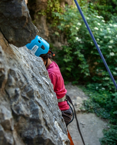 Matinée Falaise